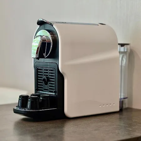 Zenova 公寓 科尔马