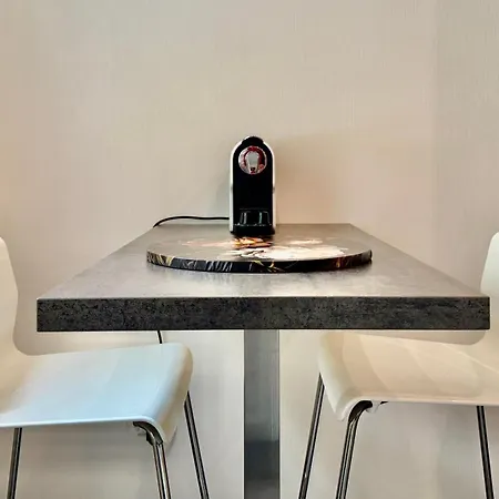 Zenova 公寓 科尔马