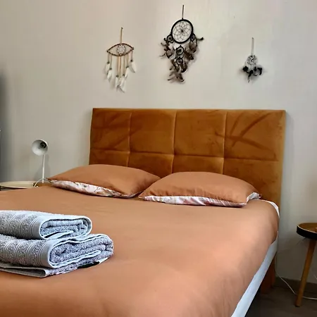 Zenova Apartament Colmar