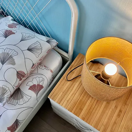 Zenova Apartament Colmar