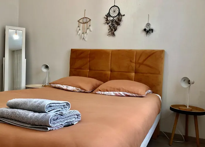 Zenova Apartament Colmar
